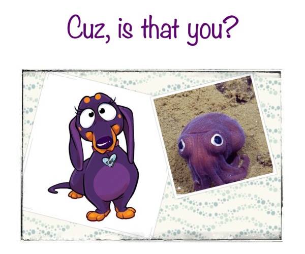 Could Purple Cuttlefish be Ellie’s  Long Lost Cousin?