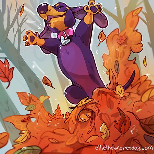 Ellie the Wienerdog’s Favorites of Fall List