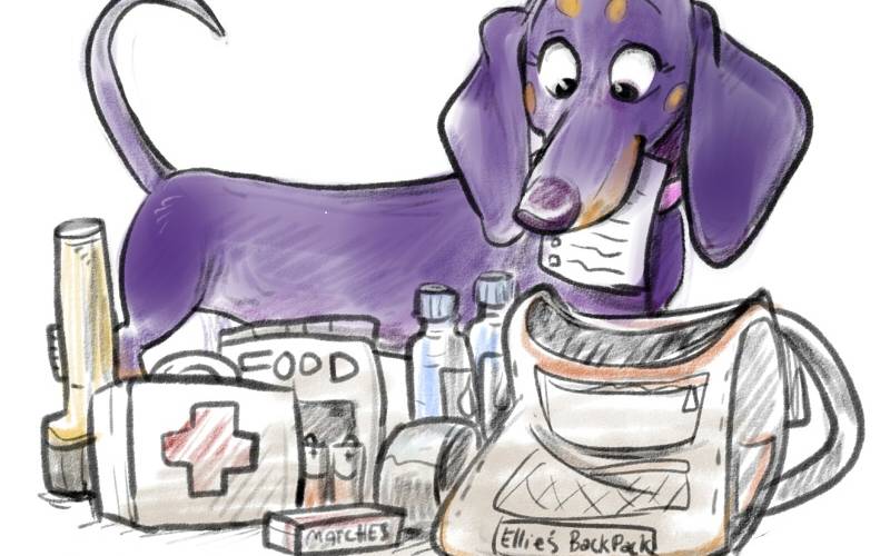 Ellie’s Disaster Prep Tips for Furry Friends