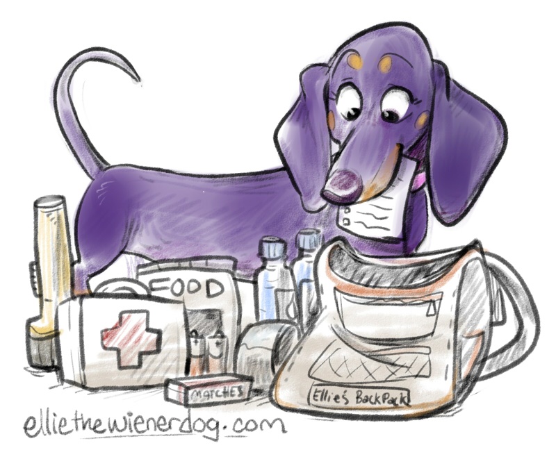 Ellie’s Disaster Prep Tips for Furry Friends
