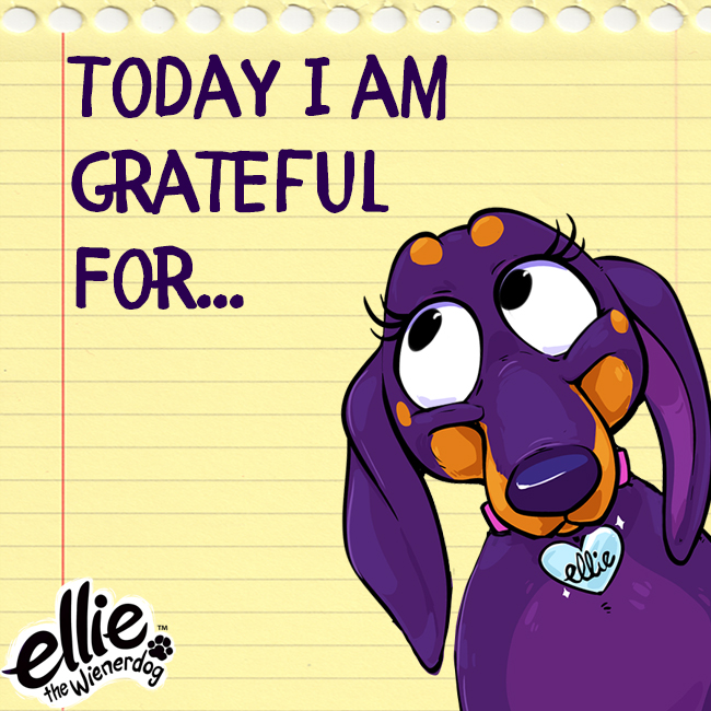 Today We Are Grateful for…