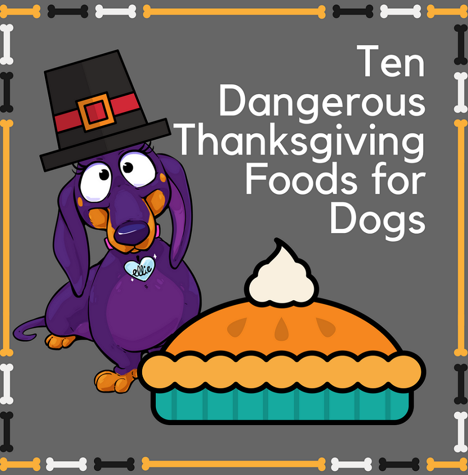 Ten Dangerous Thanksgiving Foods to Feed Your Dog