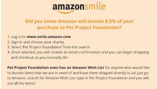Pet Project Foundation 3