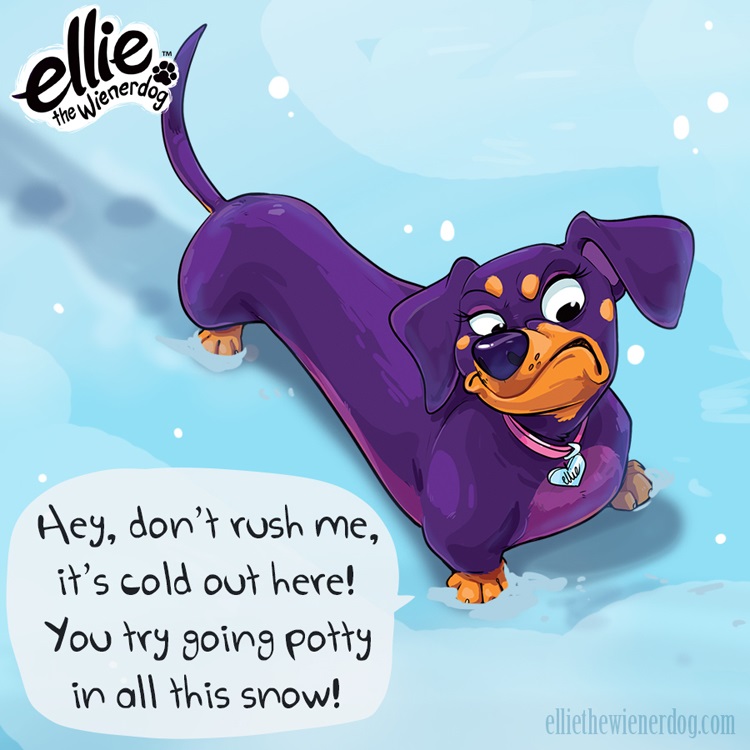 Ellie the Wienerdog Says “Don’t Rush Me..”