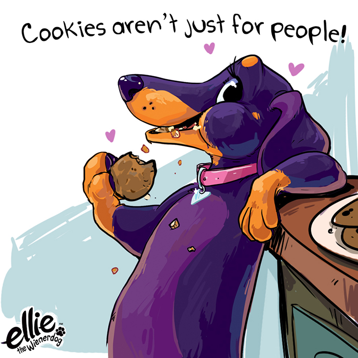 Ellie the Wienerdog Celebrates National Cookie Day!