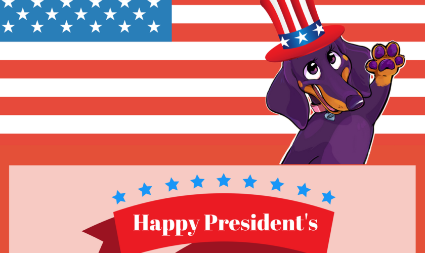 Ellie the Wienerdog Celebrates President’s Day