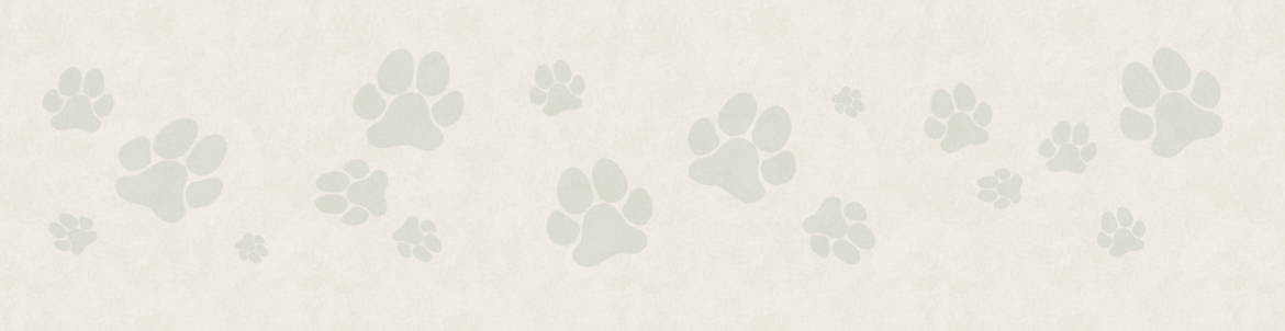 Pawprint-Green-Feature-Background-Web.jpg