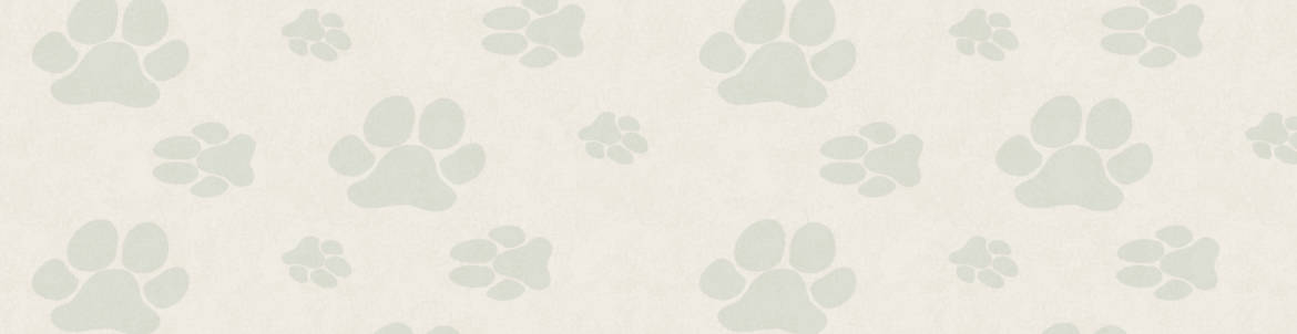 Pawprint-Green-Feature-Background3.jpg