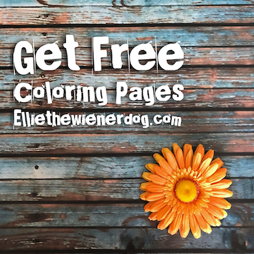 Free Spring Coloring Pages With Ellie The Wienerdog!