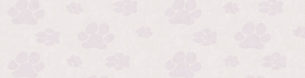 Pawprint-Mauve-Feature-Background-Web.jpg
