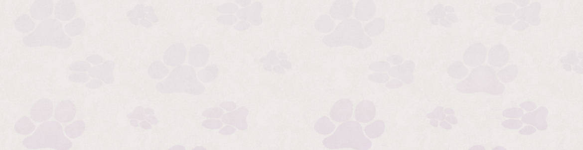 Pawprint-MauveLighter-Feature-Background-Web.jpg