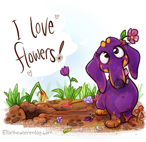 Plant a Flower day with Ellie the Wienerdog
