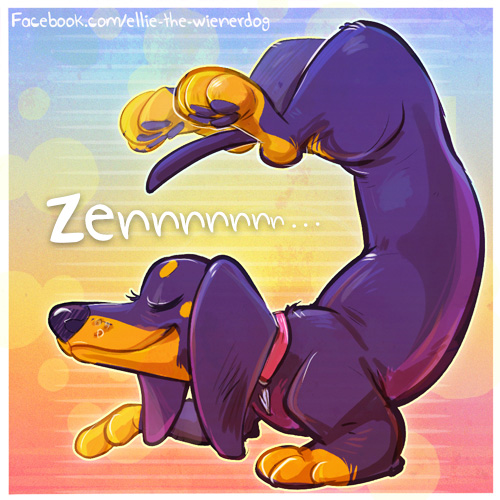 Happy Friday! Are you ready for your Zennnn Zone?