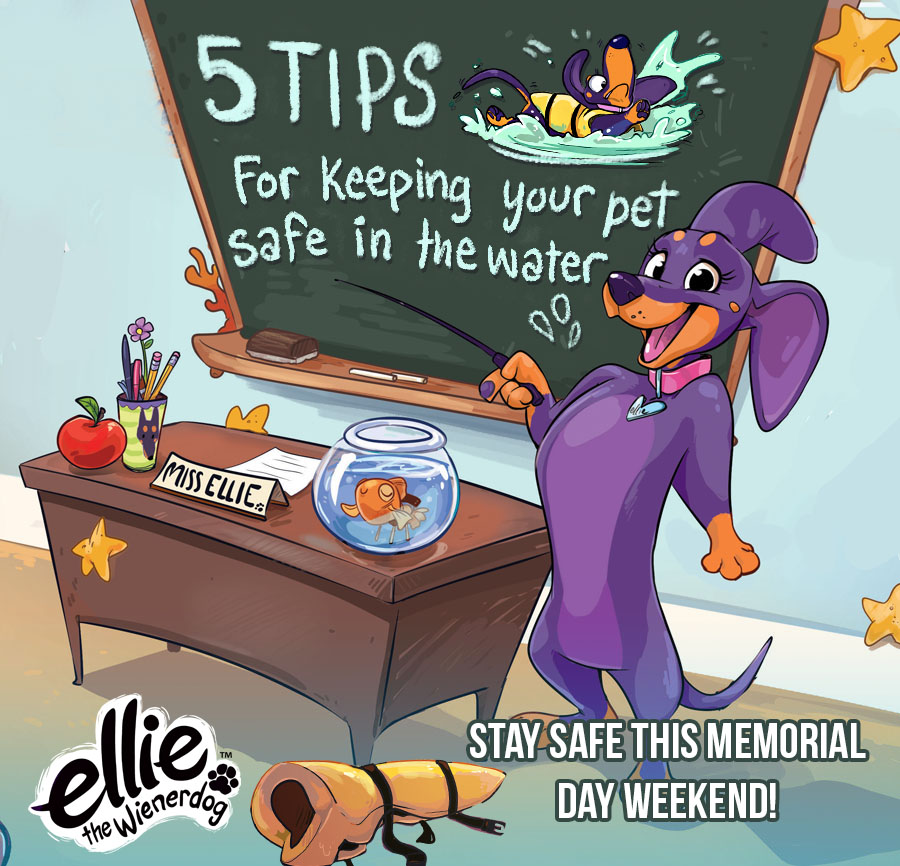 Five Tips for Keeping Your Pet Safe and Happy in the Water