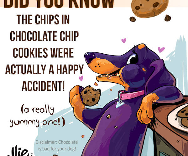 Did you know? Chocolate Chip Cookies Were Created by Accident!