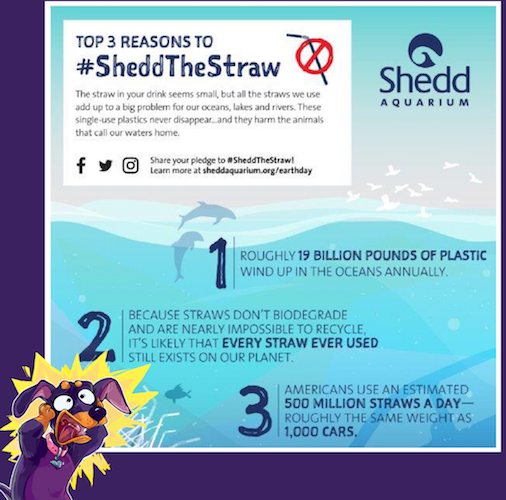 Did You Know? Straws Suck!