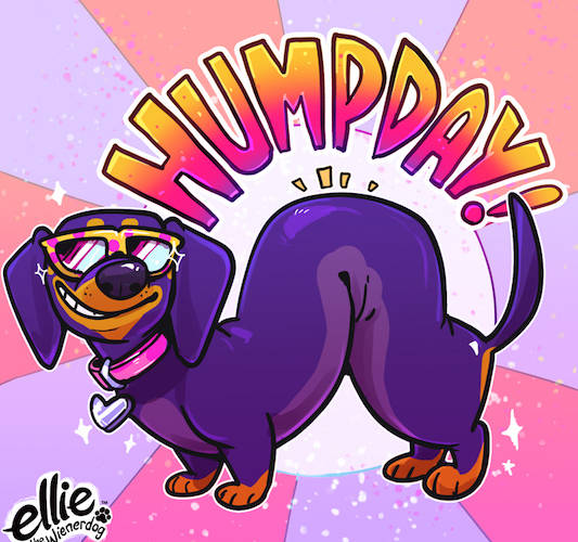 Hope Your Hump Day is Bump Free!