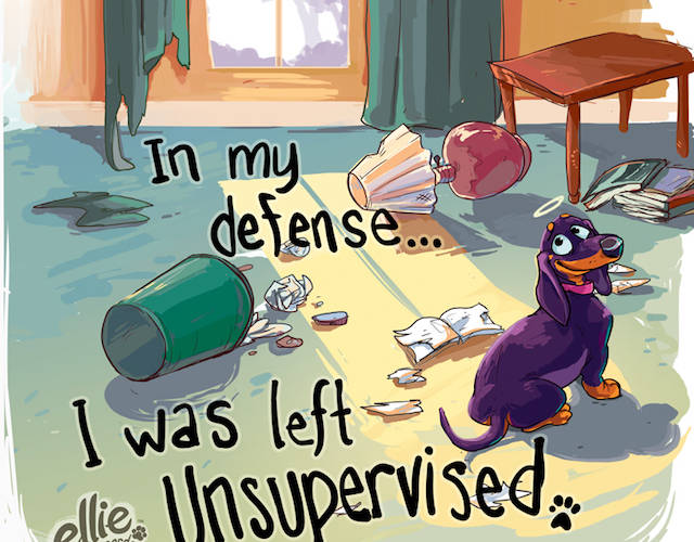 In My Defense, I Was Left Unsupervised!