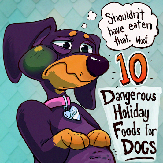 Ten Dangerous Thanksgiving Foods to Avoid Feeding Your Dog