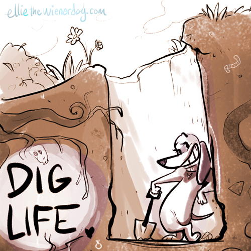 Wednesday Wisdom: Dig Life! Be Happy! That’s it . . .