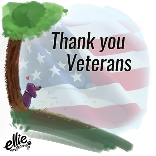 Today is Veteran’s Day, and we are SO Grateful.