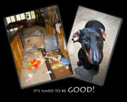 It's hard to be good trash compactor picture