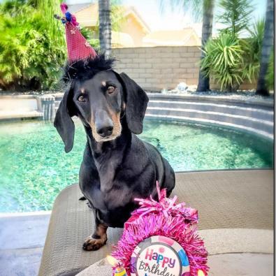 Ellie with Birthday Cake