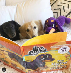 Henry and Oliver Reading It's Hard to be Good